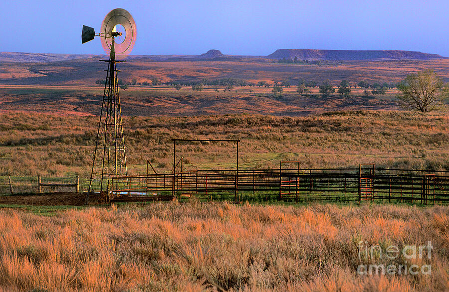 Windmill Cattle Fencing Texas Panhandle Photograph by Dave Welling Windmill Cattle Fencing Texas Panhandle Photograph by Dave Welling