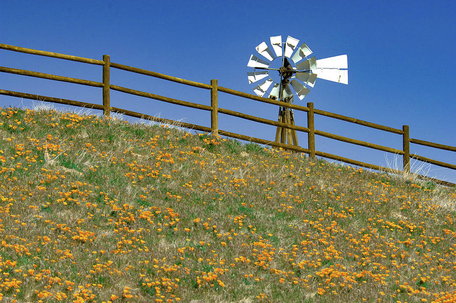 Windmill, Fence and Poppies Photograph by Bonnie Colgan