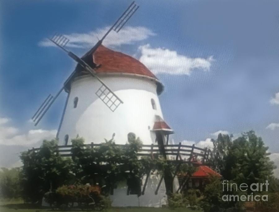 Windmill house Pyrography by Vesna Antic