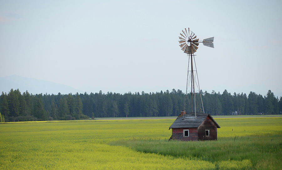 Windmill in Canola Photograph by Whispering Peaks Photography