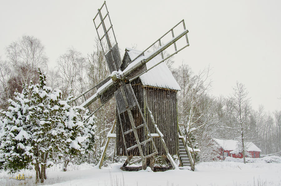 Windmill in Snow Storm Photograph by Elaine Berger