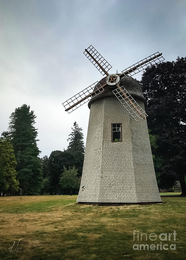 Pattern Photograph - Windmill in the Park by D Lee