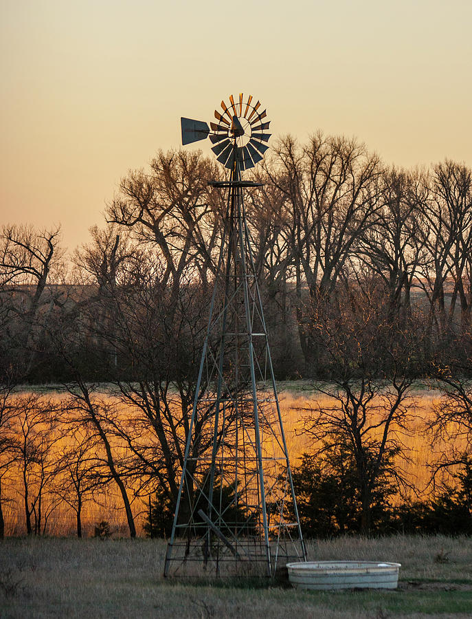 Windmill in Trees Photograph by Shirley Heier