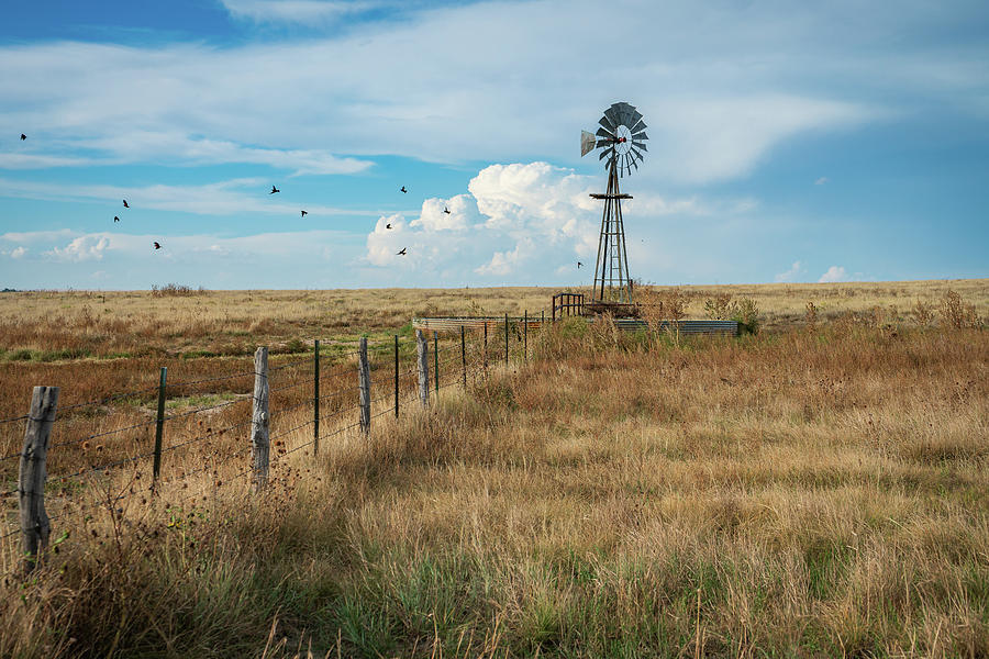 Bird Photograph - Windmill on the Plains by Tim Stanley