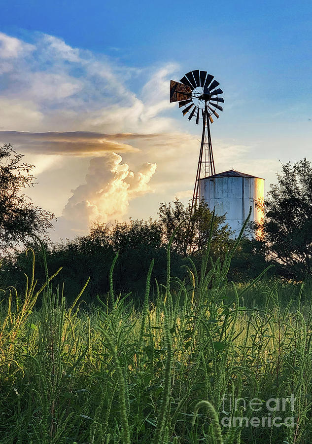 Windmill - Tank Photograph by Mark Jackson