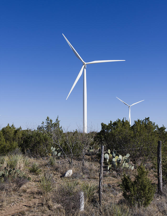 Windmills in New Mexico Photograph by Benterline