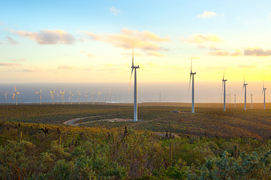 Windmills On Field Against Sky During Sunset Photograph by Jose Luis Stephens / EyeEm Windmills On Field Against Sky During Sunset Photograph by Jose Luis Stephens / EyeEm