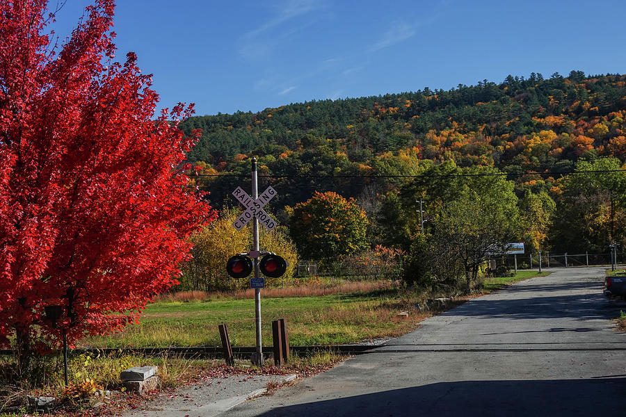 Windor Vermont Railroad Crossing Red Tree. Vermont Fall Foliage Photograph by Toby McGuire