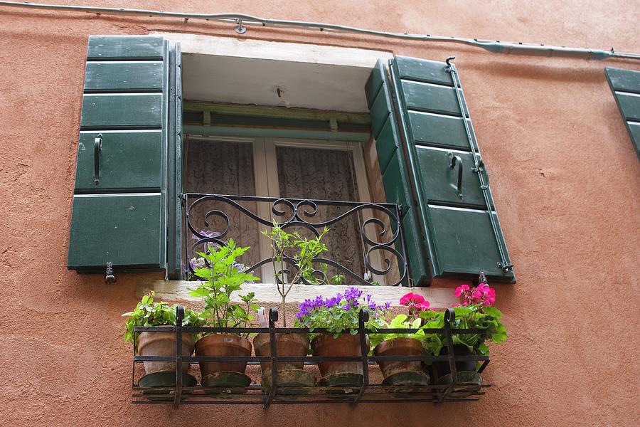Window and flowers - Venice Photograph by Yvonne M Smith