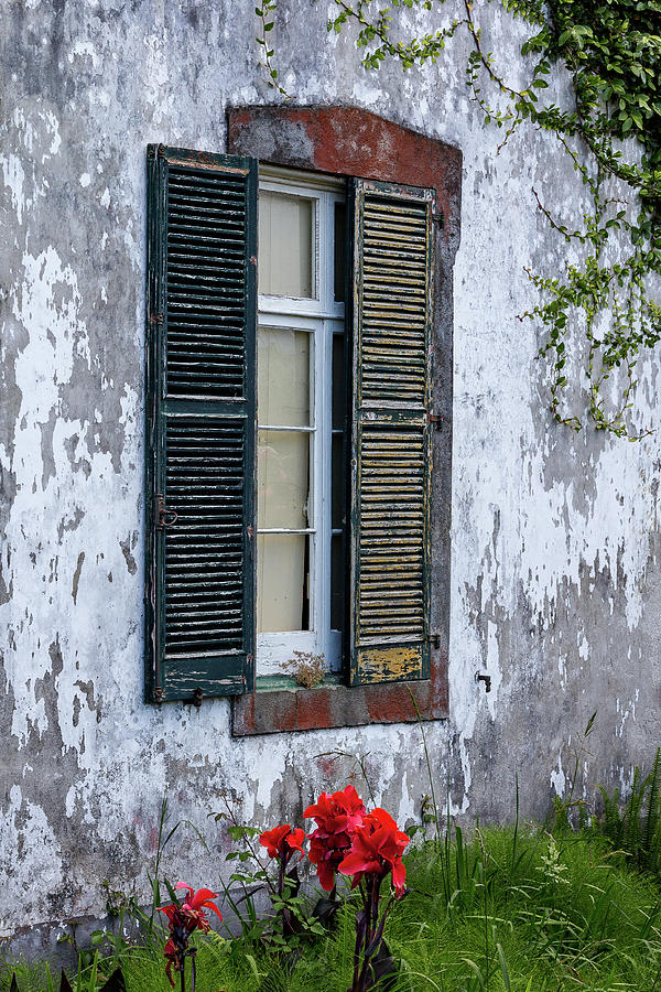 Window and Red Flowers Photograph by Denise Kopko
