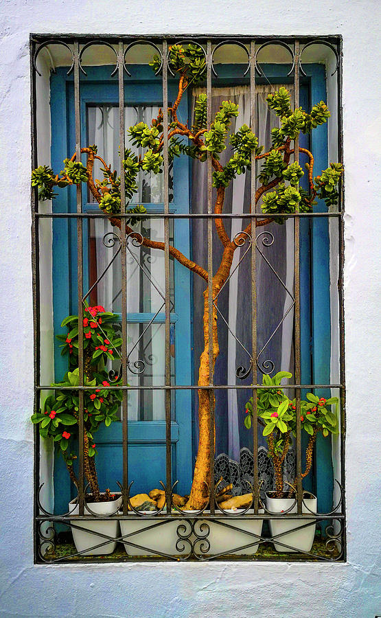 Window and window box in Frigiliana, Malaga Province, Andalucia, Spain Photograph by Panoramic Images