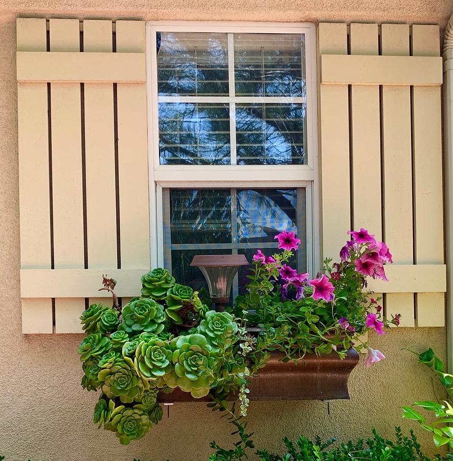 Window Box Summer Time Photograph by Inez Ellen Titchenal | Fine Art ...