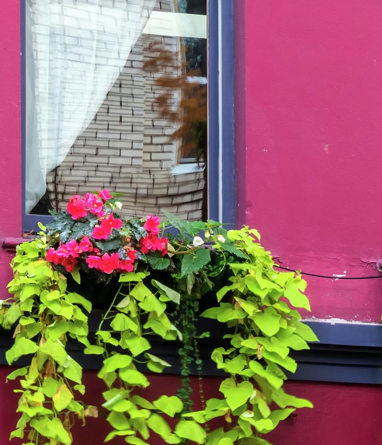 Window Box Reflections Photograph by Jerry Sodorff