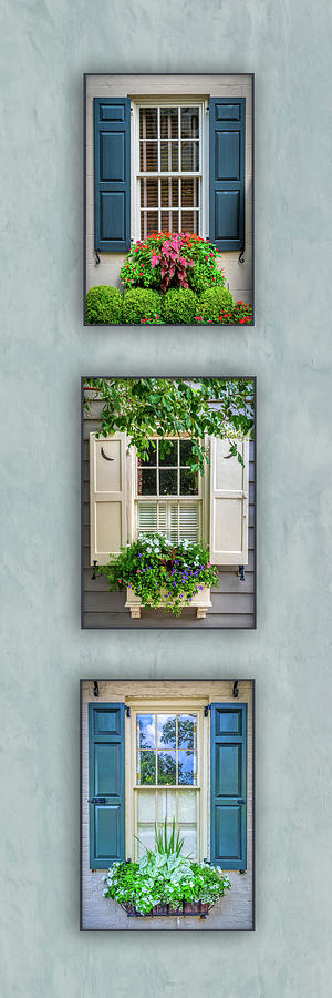 Window Box Winners - Vertical Photograph by Maryanne Keeling Window Box Winners - Vertical Photograph by Maryanne Keeling