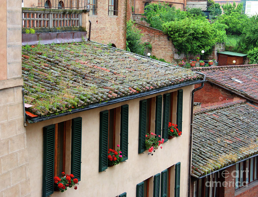 Window Boxes and Tile Roofs 0919 Photograph by Jack Schultz