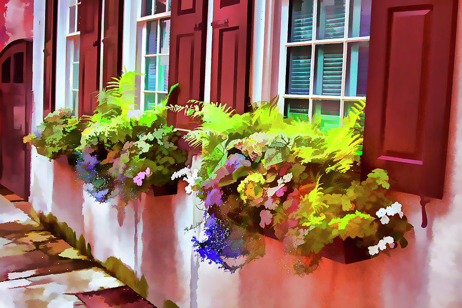Window Boxes of Charleston Faux Painting Photograph by Bill Barber