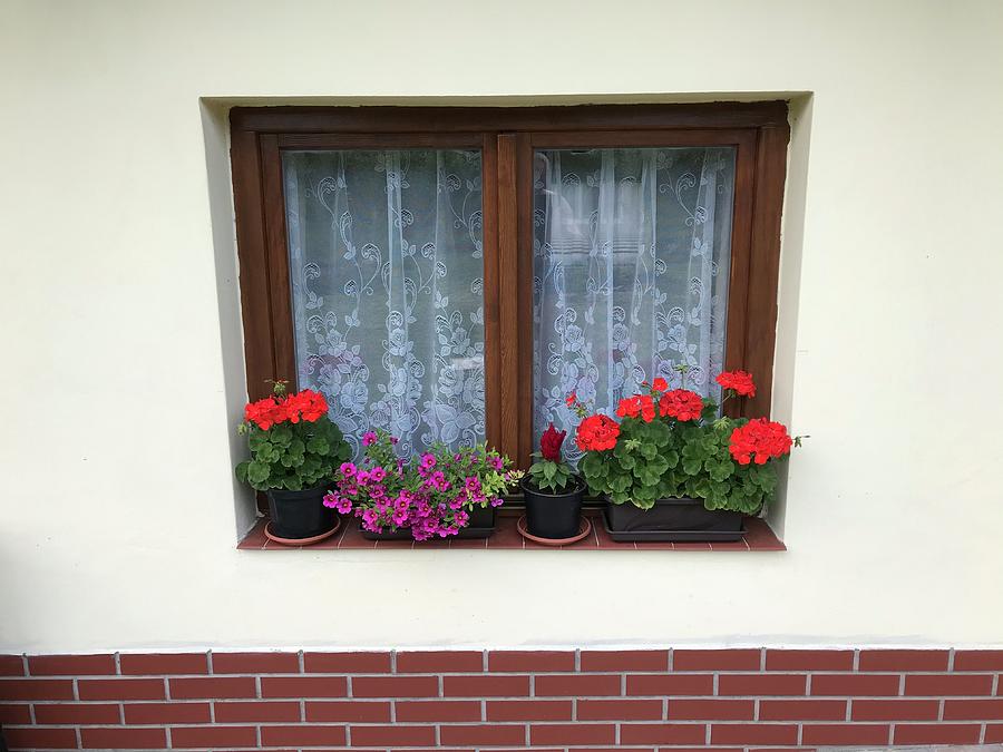 Window Decorated with Flowers Photograph by Jan Dolezal