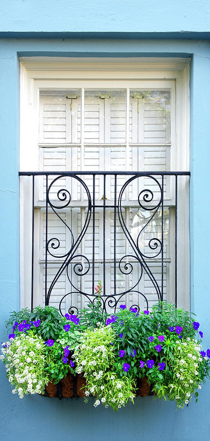 Window Dressing - Charleston, South Carolina #1 Photograph by Kenneth Lane Smith