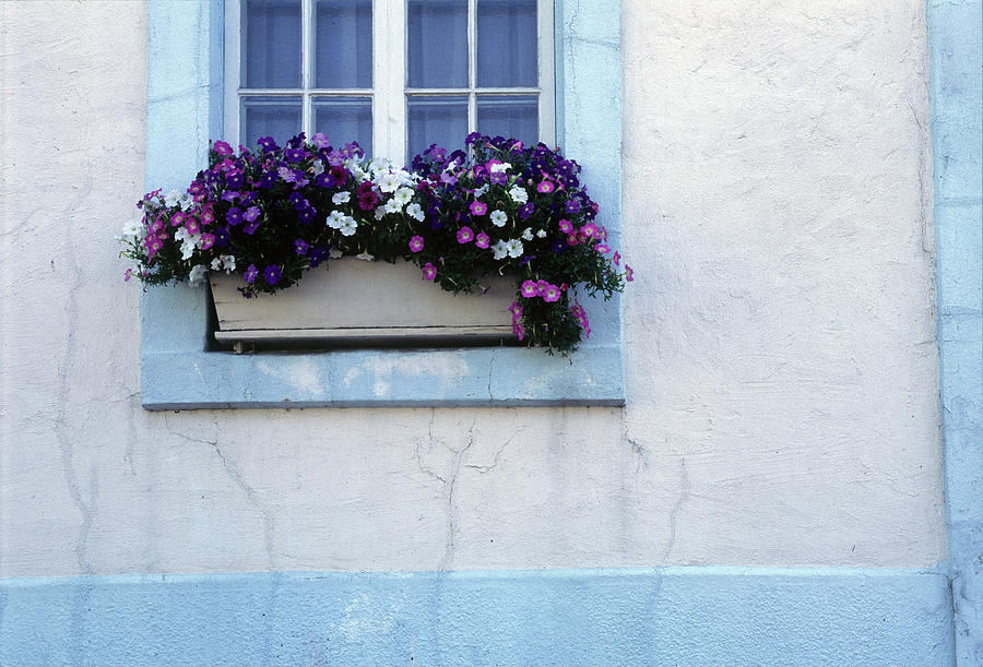 Window Flower Box Photograph by Harold E McCray