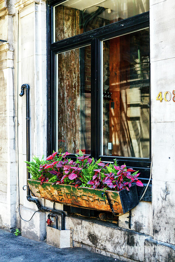 Window Flowers in Montreal Photograph by John Rizzuto