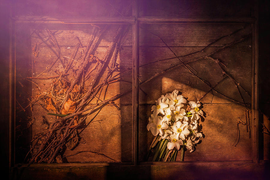 Window Frame Daffodils Photograph