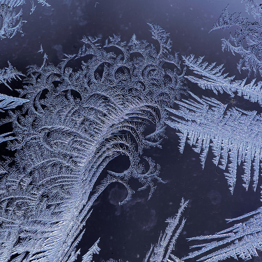 Window Frost Macro #2 Photograph by Rick Shea