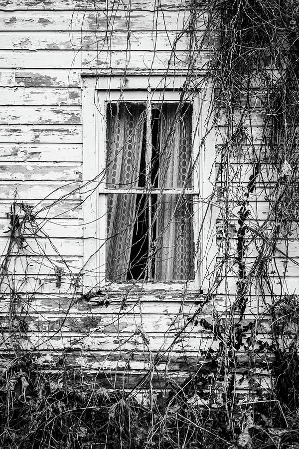Window in Black and White Photograph by Cris Ritchie