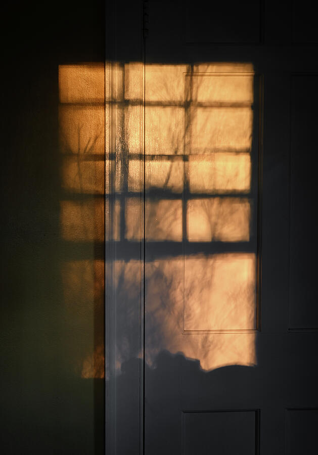 Window Obscura Photograph by Steven Nelson