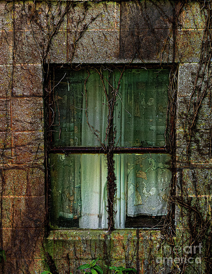Window of Cinder Block House Photograph by Thomas Marchessault