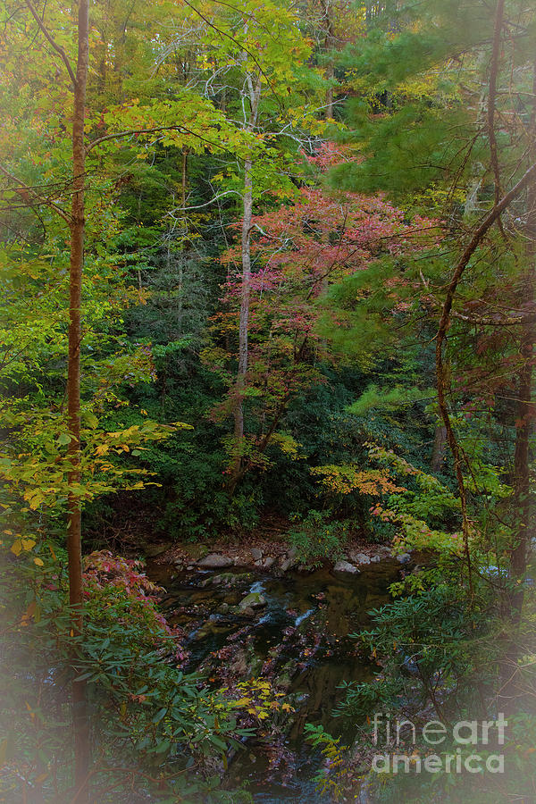 Window of Fall Color along the river Photograph by Barbara Bowen