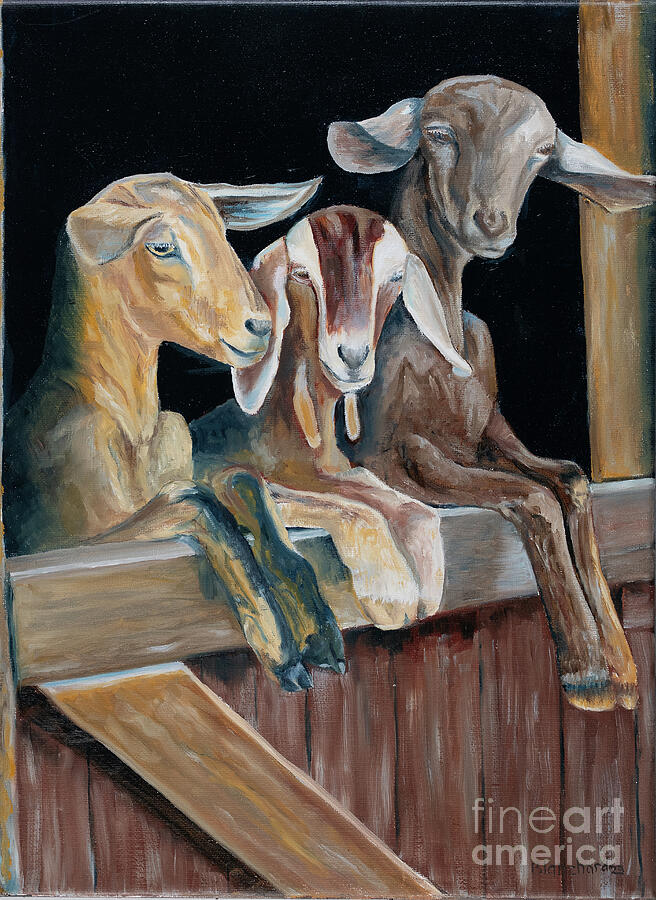 Window of Goats Painting by Charlotte Blanchard