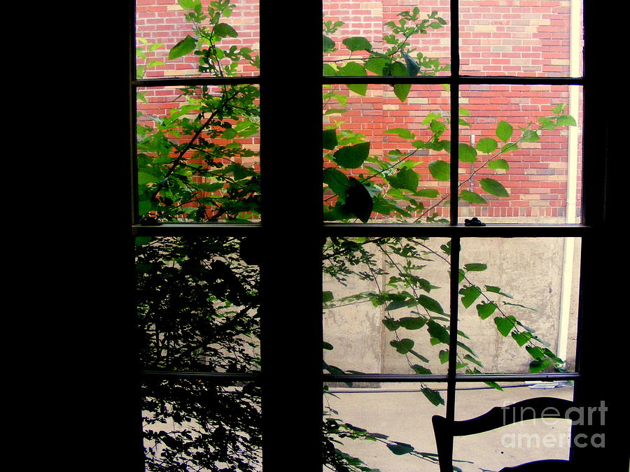 Window Plaid Photograph by Nancy Kane Chapman