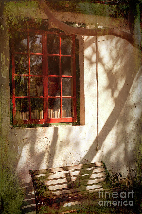 Window Seat Photograph by Elaine Teague