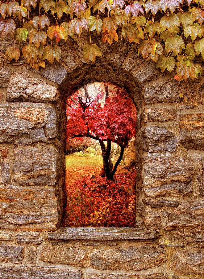 Window to Autumn Photograph by Jessica Jenney