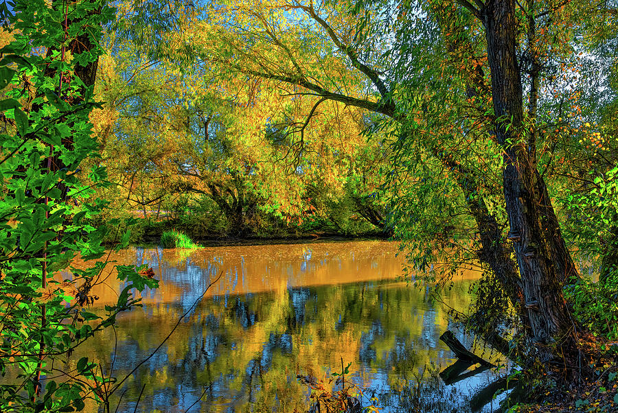 Fall Photograph - Window to fall #k3 by Leif Sohlman