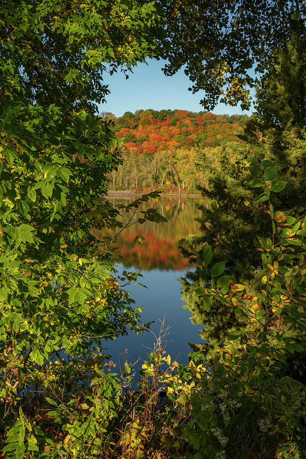 Window to Hiniker Pond Photograph by AJ Dahm | Fine Art America