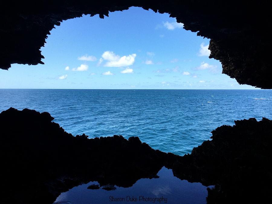 Window to the sea Photograph by Sharon Duke | Fine Art America