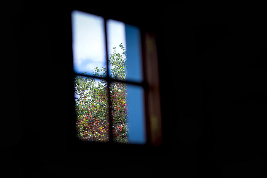 Window Photograph by Um Dia Único