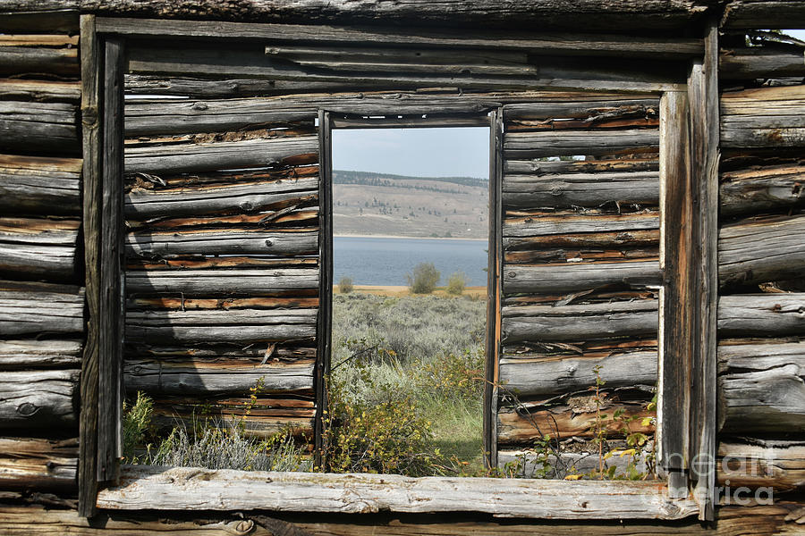 Window View of Cabin Photograph by Tonya Hance - Fine Art America