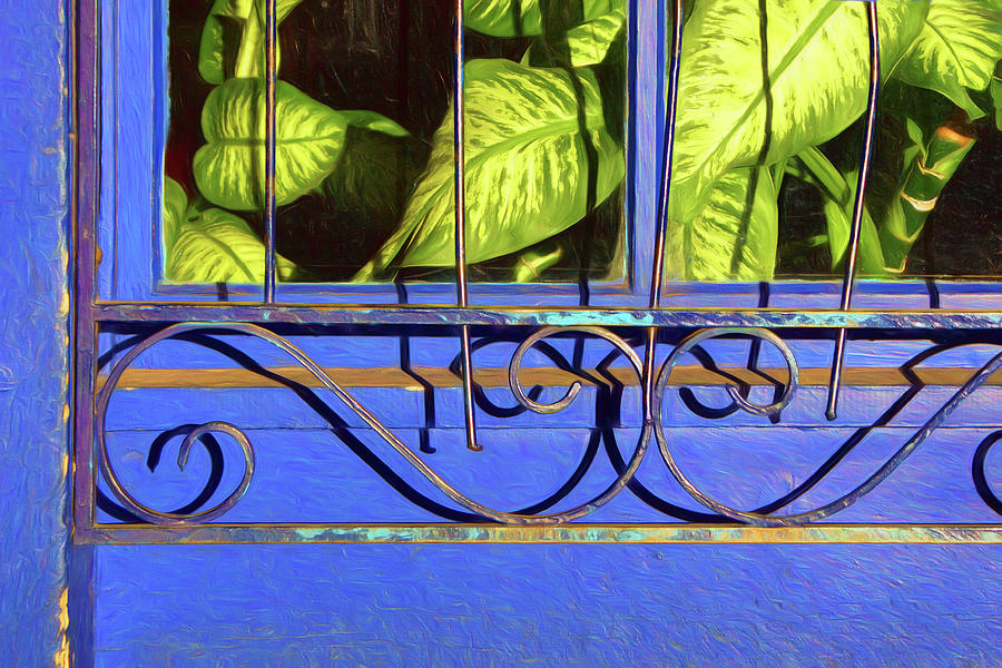 Window, Wall, and Wrought Iron - No 2 Photograph by Nikolyn McDonald