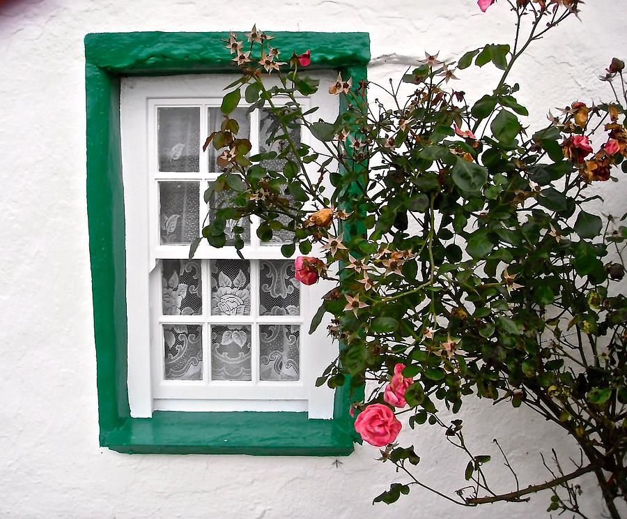 WIndow wirh roses Photograph by Stephanie Moore