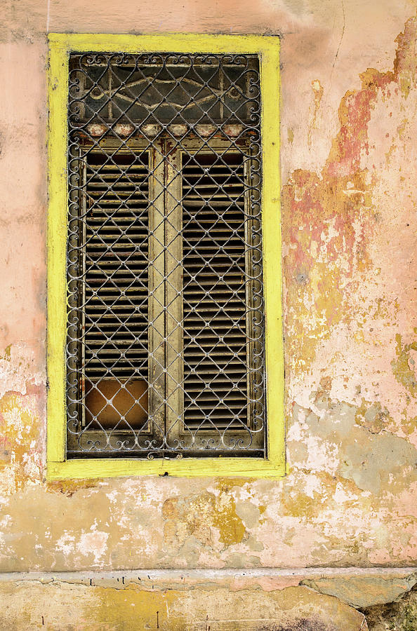 Window with shutters and security mesh. Photograph by Rob Huntley