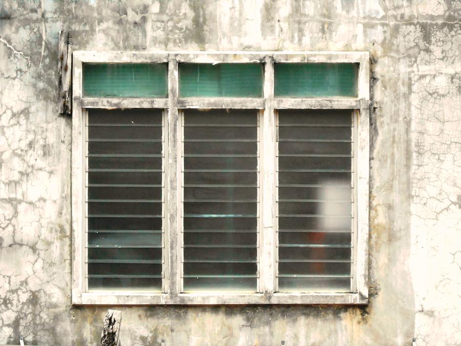 Windows #1 Photograph by Dietmar Scherf