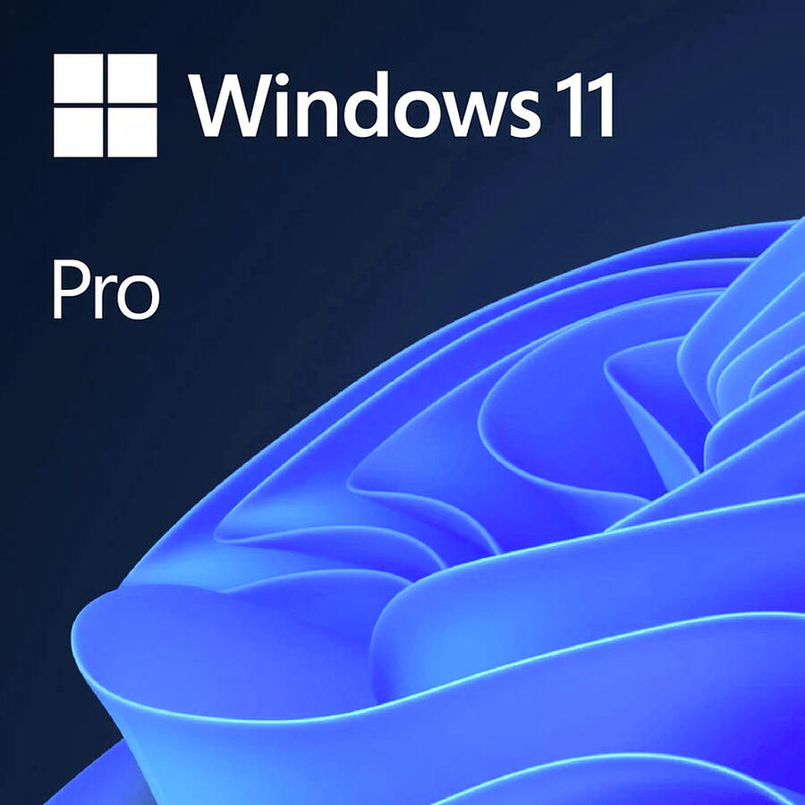Windows 11 Pro License for good Business Photograph by Ramjet