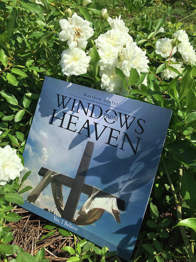 Windows From Heaven -Seufer Digital Art by Matthew Seufer