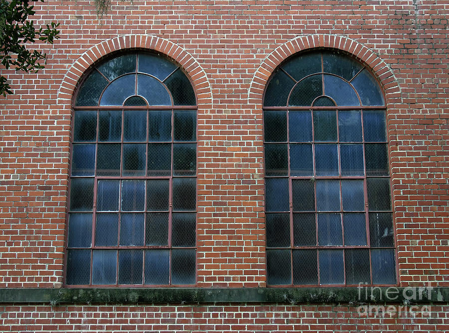 Windows Of Reddick High Schoo Photograph by D Hackett