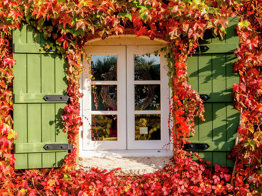 Window,Shutters,and Fall Colors Photograph by Bill Gallagher