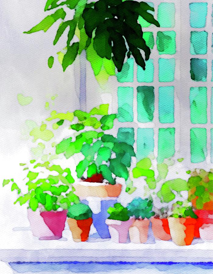 Windowsill Garden IV  Painting by Bonnie Bruno
