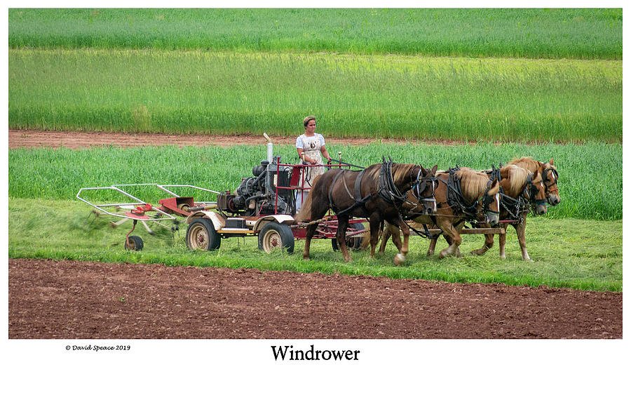 Windrower Photograph by David Speace
