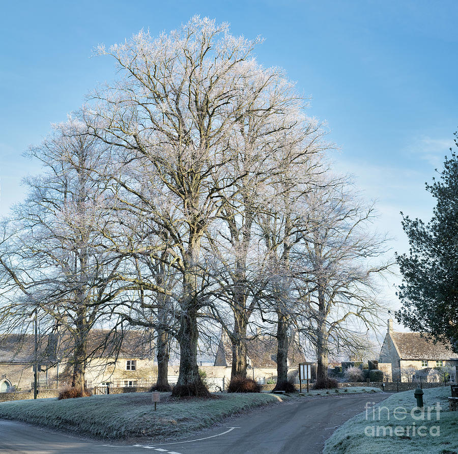 Windrush Village in the Winter Frost Photograph by Tim Gainey